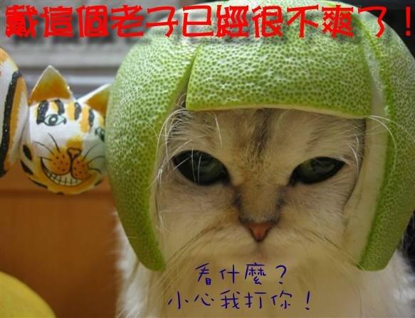 5.JPG