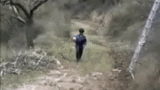 12090112.gif