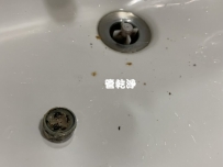 水龍頭噴出棕色髒水? 竹東 新生路 清洗水管