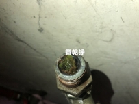 水管內長青苔? 新竹 新埔 新關路 洗水管