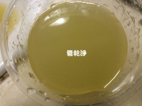 水管流出甘蔗汁? 新竹 牛埔東路 清洗水管