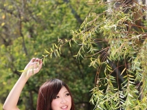 飄飄[20P]