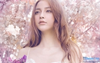 Angela寶貝花海唯美意境[10p]