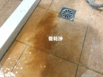 水管流出拿鐵咖啡? 新北 新店 建業路 洗水管 (管乾淨)