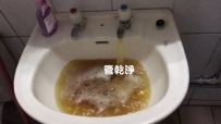 龍頭打開就有仙草? 苗栗 卓蘭 和平路 清洗水管 (管乾淨)