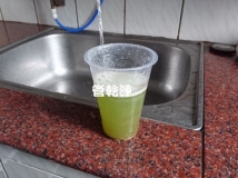 樹林信和街 洗水管 我家有綠水