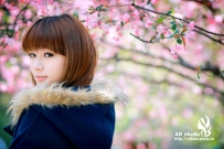 無敵美少女豆豆 [20P]