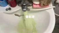 龍頭流出萊姆汁.. 台中 太平 鵬儀路 清洗水管 (管乾淨)