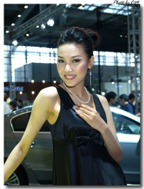 深圳國際汽車博覽會2008 [20p]