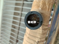 水龍頭流出萊姆汁? 竹北 新國街 清洗水管