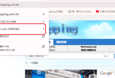win10 discuzX 3.4 Chrome 網站登入問題