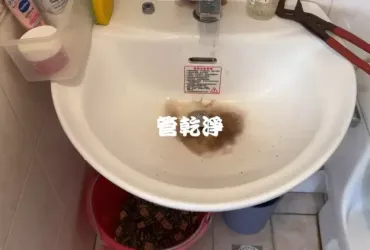 管路流出泡沫牛奶..苗栗 苑裡 成功路 水管清洗 (管乾淨)