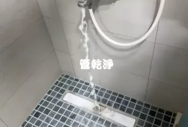龍頭一撥就有泡沫奶.. 桃園 龍潭 向陽二街 洗水管 (管乾淨)