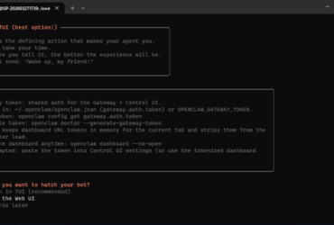 WIN 11 用 WSL2 - UBUNTU OLLAMA 安裝 openclaw (免費AI model)