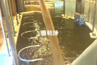 管路有脆片.. 宜蘭 礁溪  洗SPA池管路 (管乾淨)