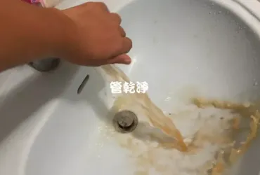 水管被鳥羽毛堵住.. 台北 北投 行義路 清洗水管 (管乾淨)