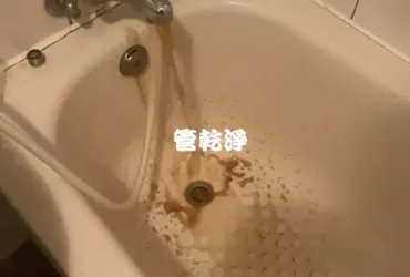 熱水管裡的「彩色秘密」..桃園 楊梅 蘋果路 清洗水管 (管乾淨)