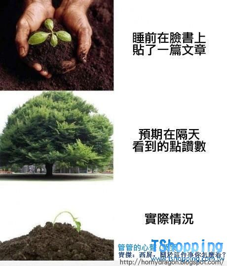 1278835-0TL6X1G.jpg