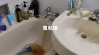熱水管堵住.. 新竹 北區 中正路 水管清洗 (管乾淨)